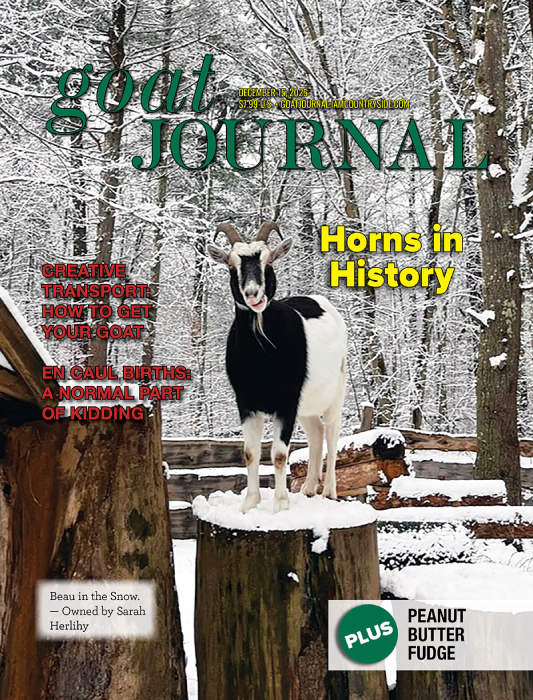 Goat Journal Digital Issue 20